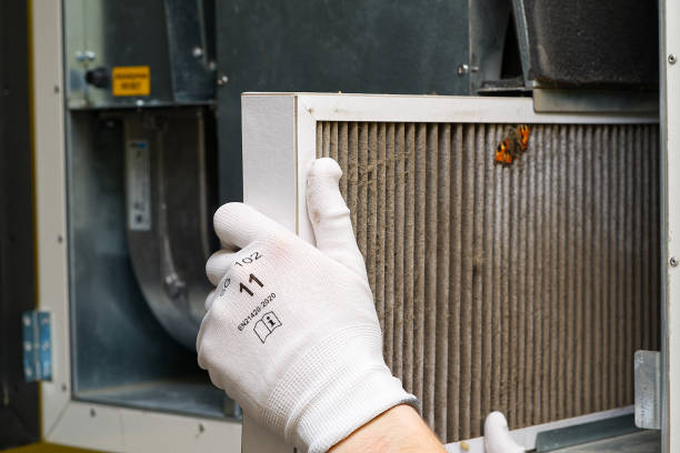 Best Local Air Duct Cleaning Services  in Eastwood, MI